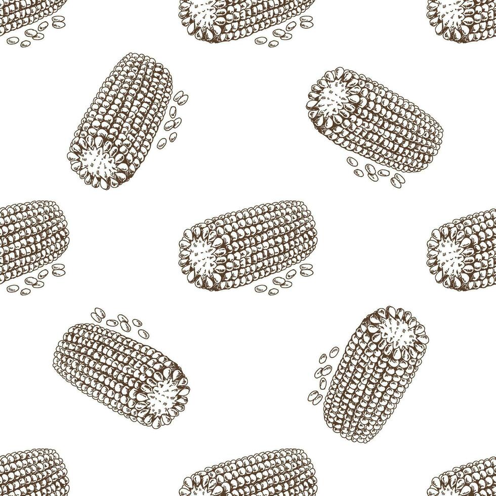 Hand-drawn vector seamless pattern of corn. Vintage doodle illustration. Sketch for cafe menus and labels. The engraved image.