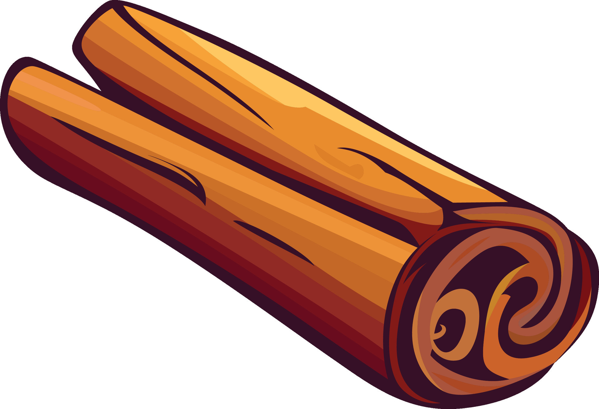 cinnamon sticks vector illustration, Cinnamon spice , Cinnamomum
