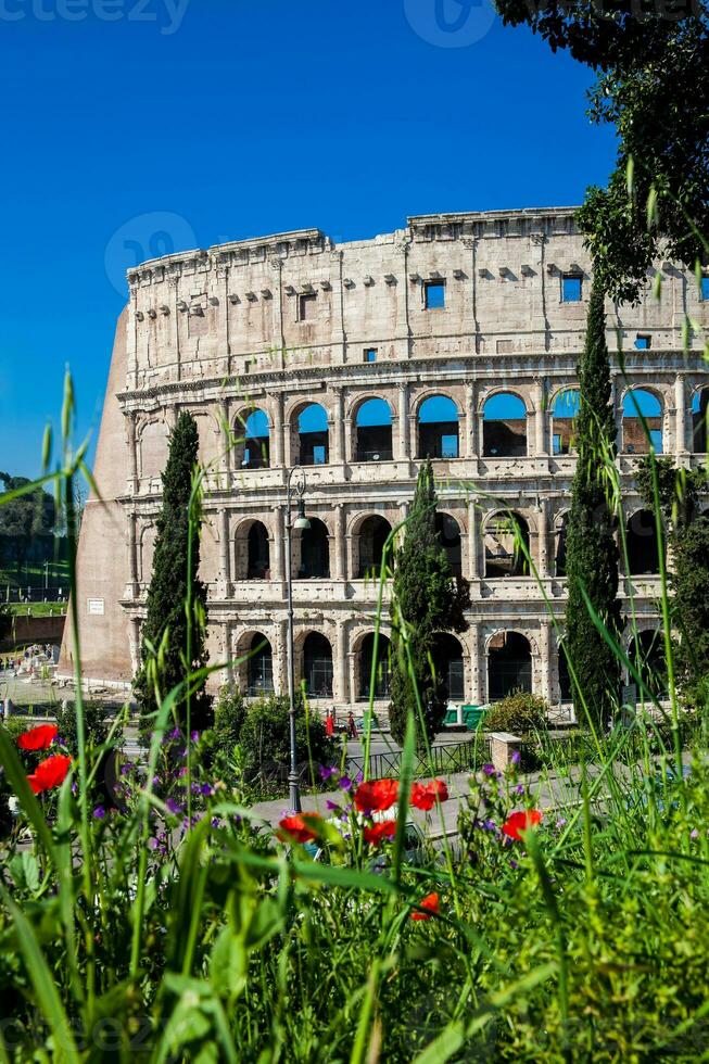 The famous Colosseum or Coliseum also known as the Flavian Amphitheatre in the centre of the city of Rome photo