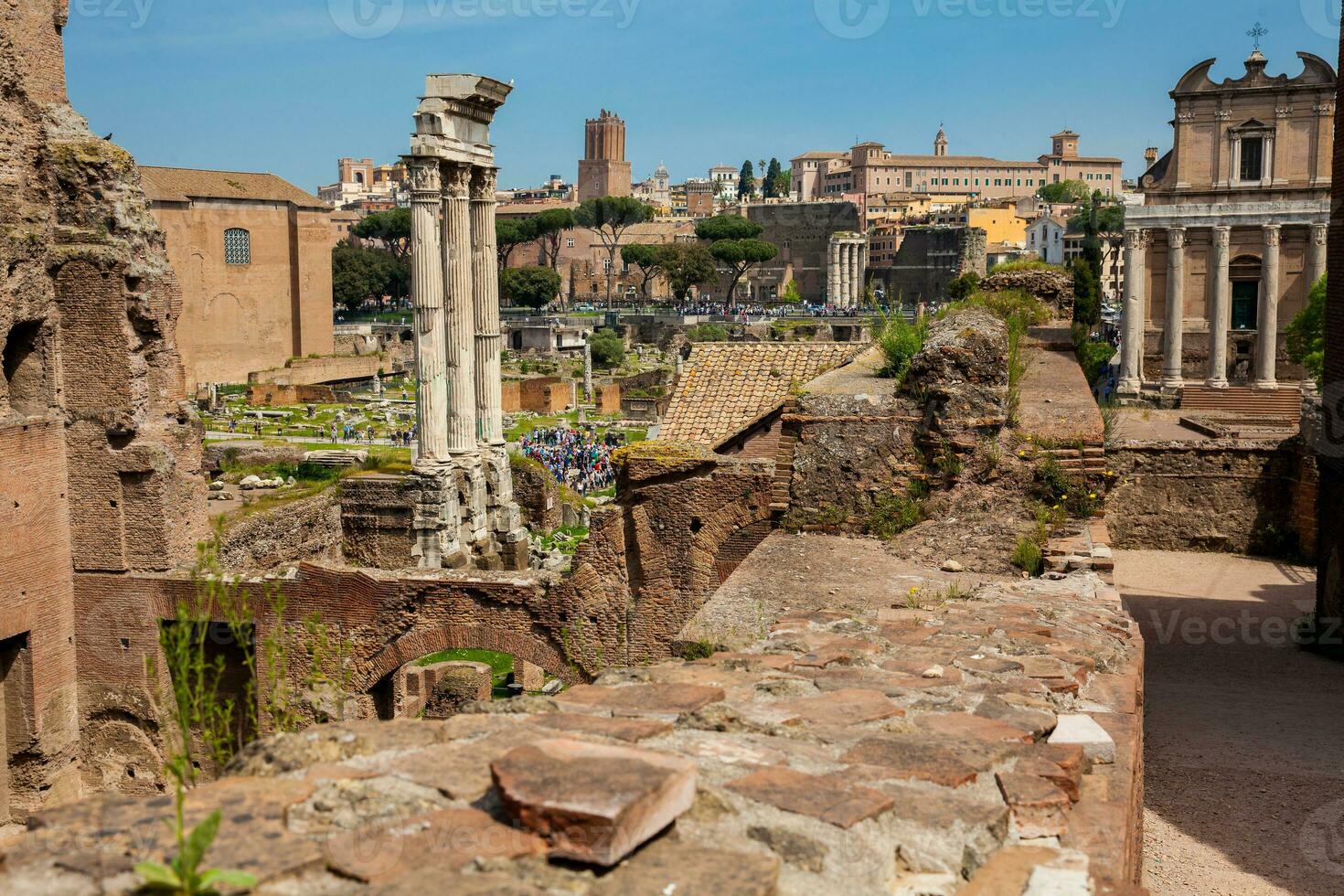 Remains of the Temple of Castor and Pollux or the Dioscuri at the Roman Forum in Rome photo