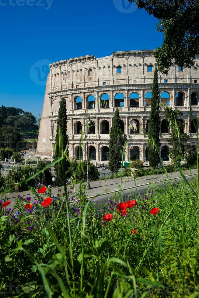 The famous Colosseum or Coliseum also known as the Flavian Amphitheatre in the centre of the city of Rome photo