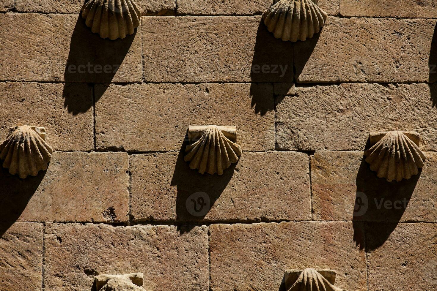Detail of the historical House of the Shells built in 1517 by Rodrigo Arias de Maldonado knight of the Order of Santiago de Compostela in Salamanca, Spain photo
