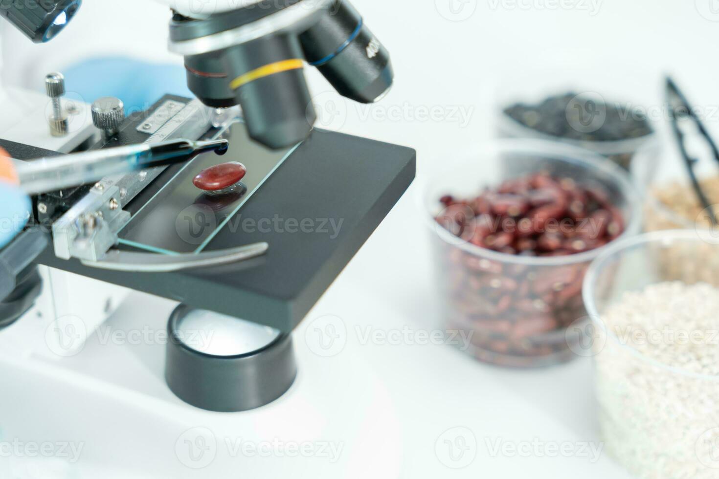 Scientist check chemical whole grains residues in laboratory. Control experts inspect the concentration of chemical residues. hazards, standard, prohibited substances, contaminate, Microbiologist photo