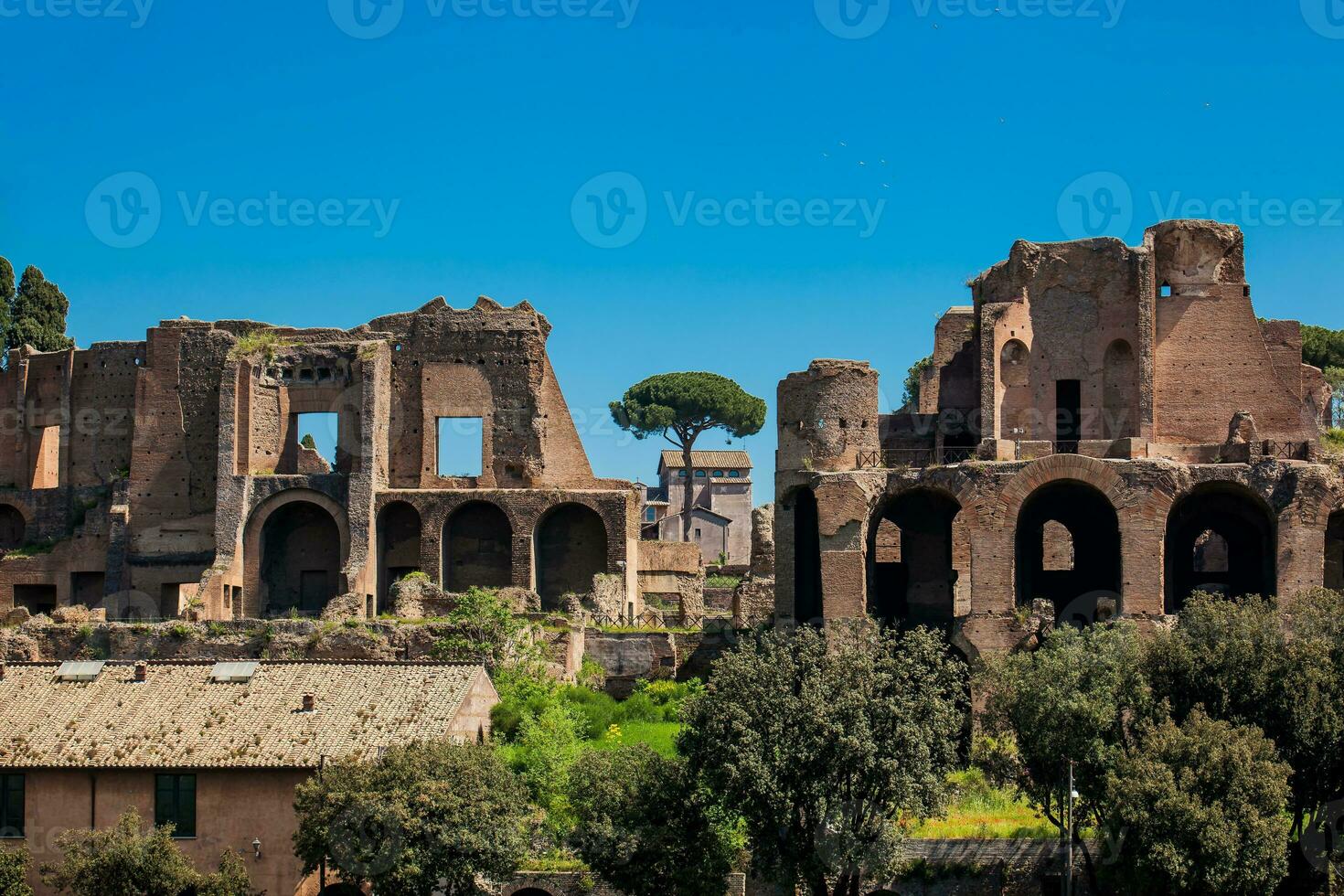 Temple of Apollo Palatinus on Palatine Hill of ancient Rome and Circus Maximus photo