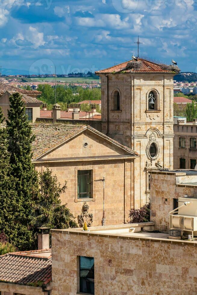 cigüeñas anidamiento en parte superior de el campana torre de Iglesia de carmen Delaware abajo construido en el 15 siglo en el ciudad de salamanca en España foto