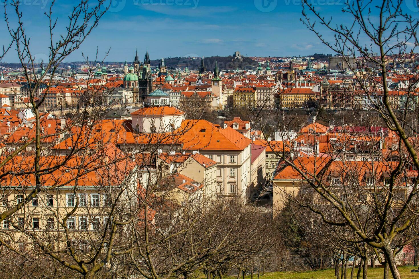 Charles bridge and Prague city old town seen from Petrin hill in a beautiful early spring day photo