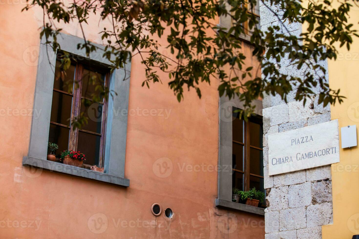 detalles de el arquitectura de el Pisa ciudad centrar foto