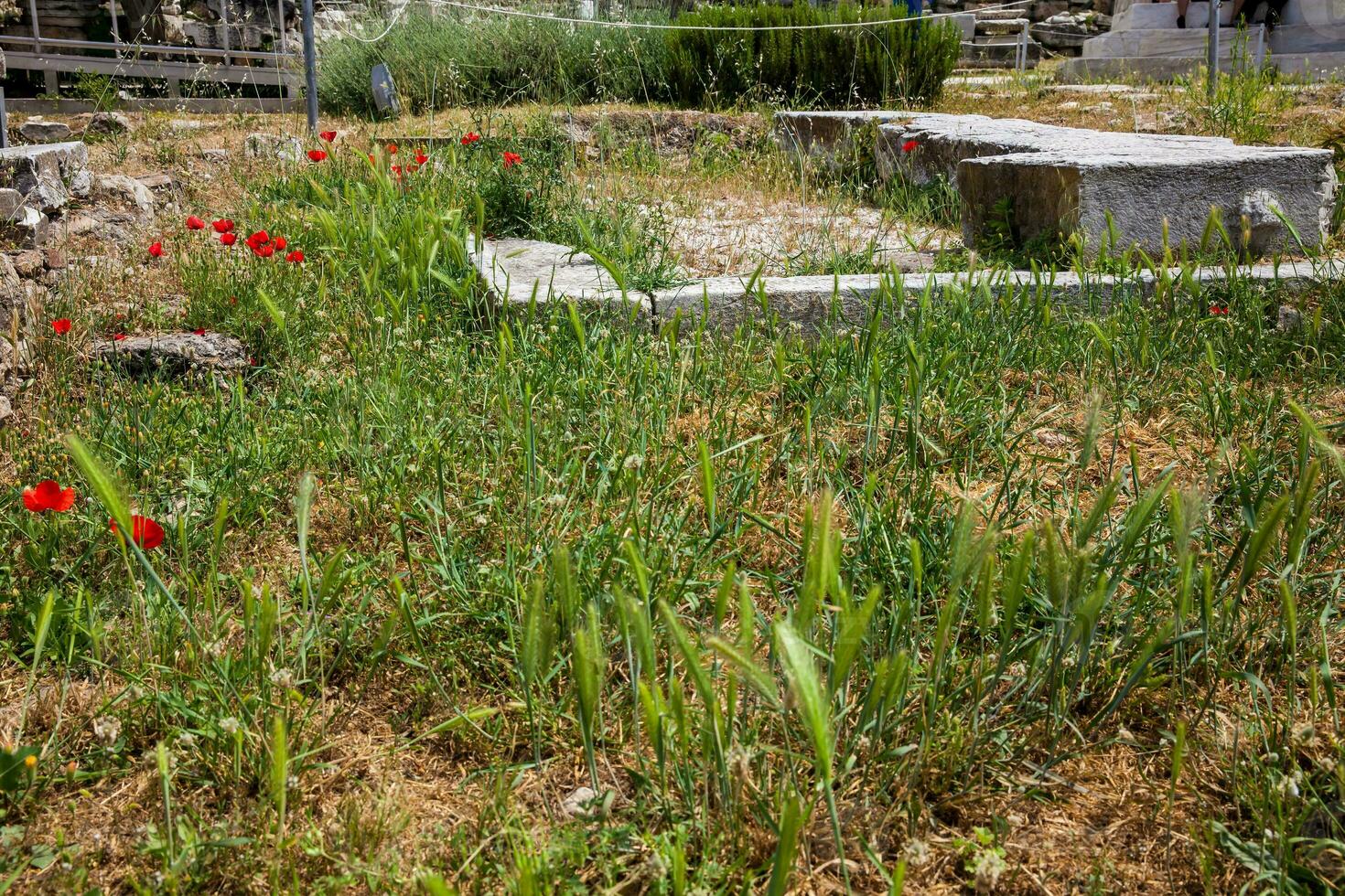 Detail of the ancient ruins at the Roman Agora located to the north of the Acropolis in Athens photo