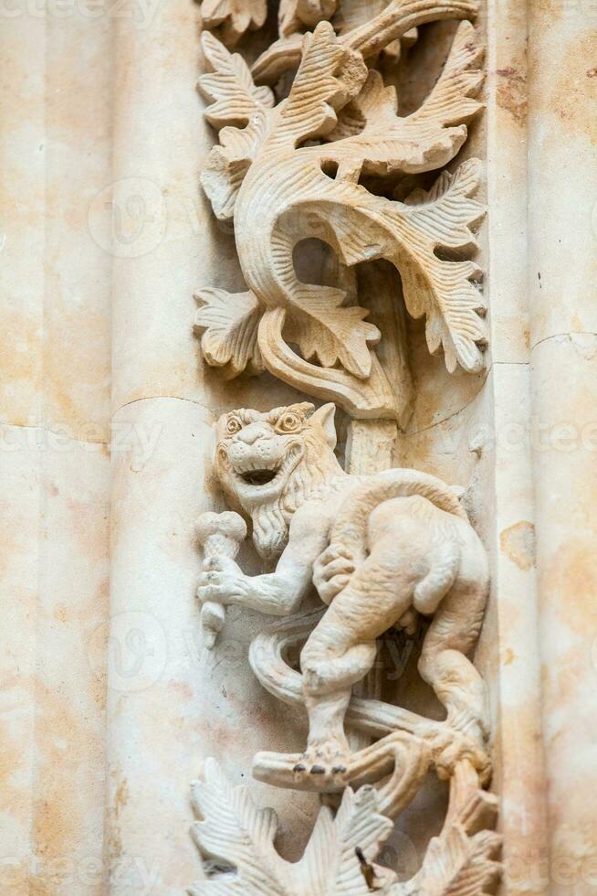 Dragon eating ice cream carved on the facade of the historical Salmanca Cathedral photo