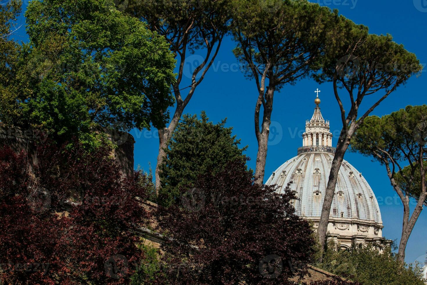 Dome of the Papal Basilica of St. Peter in the Vatican seen from the Viale Vaticano photo
