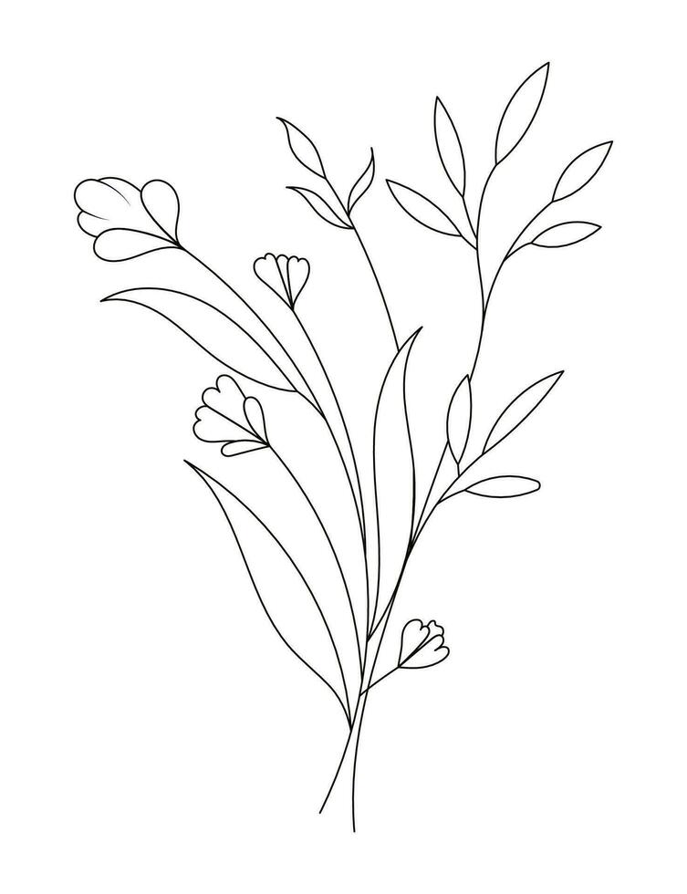 Hand drawn wild field flora, flowers, leaves, herbs, plants, branches. Minimal floral botanical line art. vector