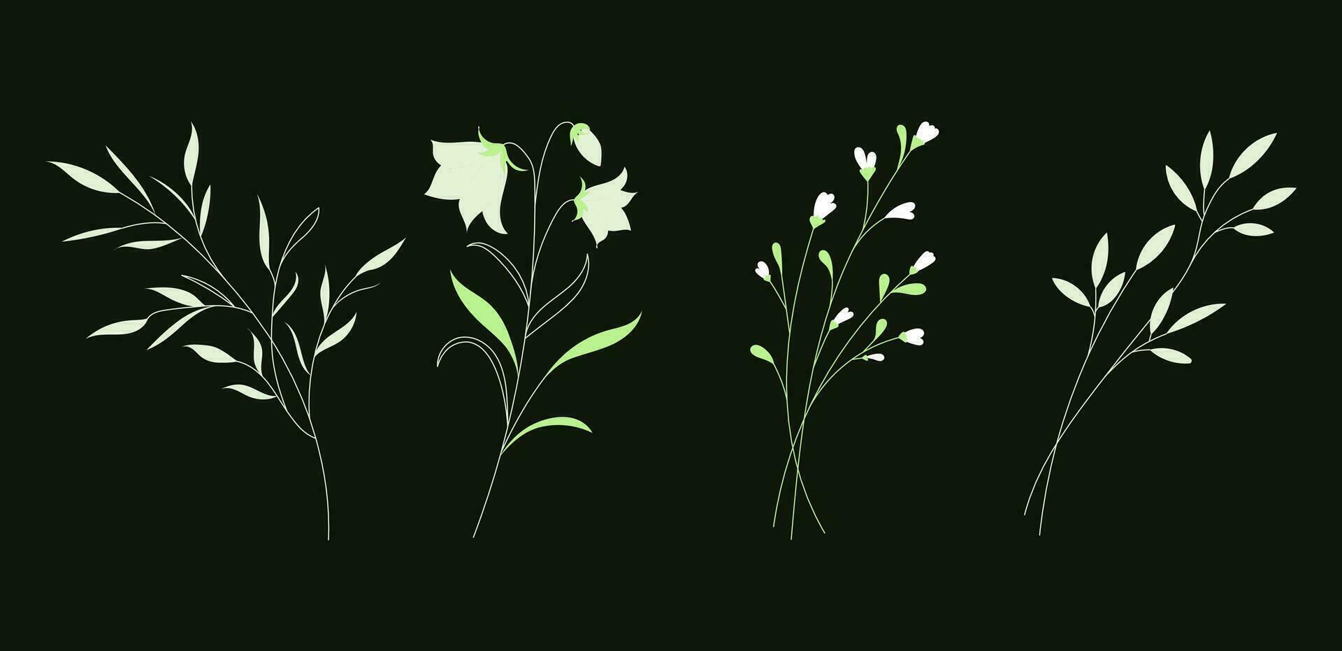 Hand drawn wild field flora, flowers, leaves, herbs, plants, branches. Minimal floral botanical line art. vector