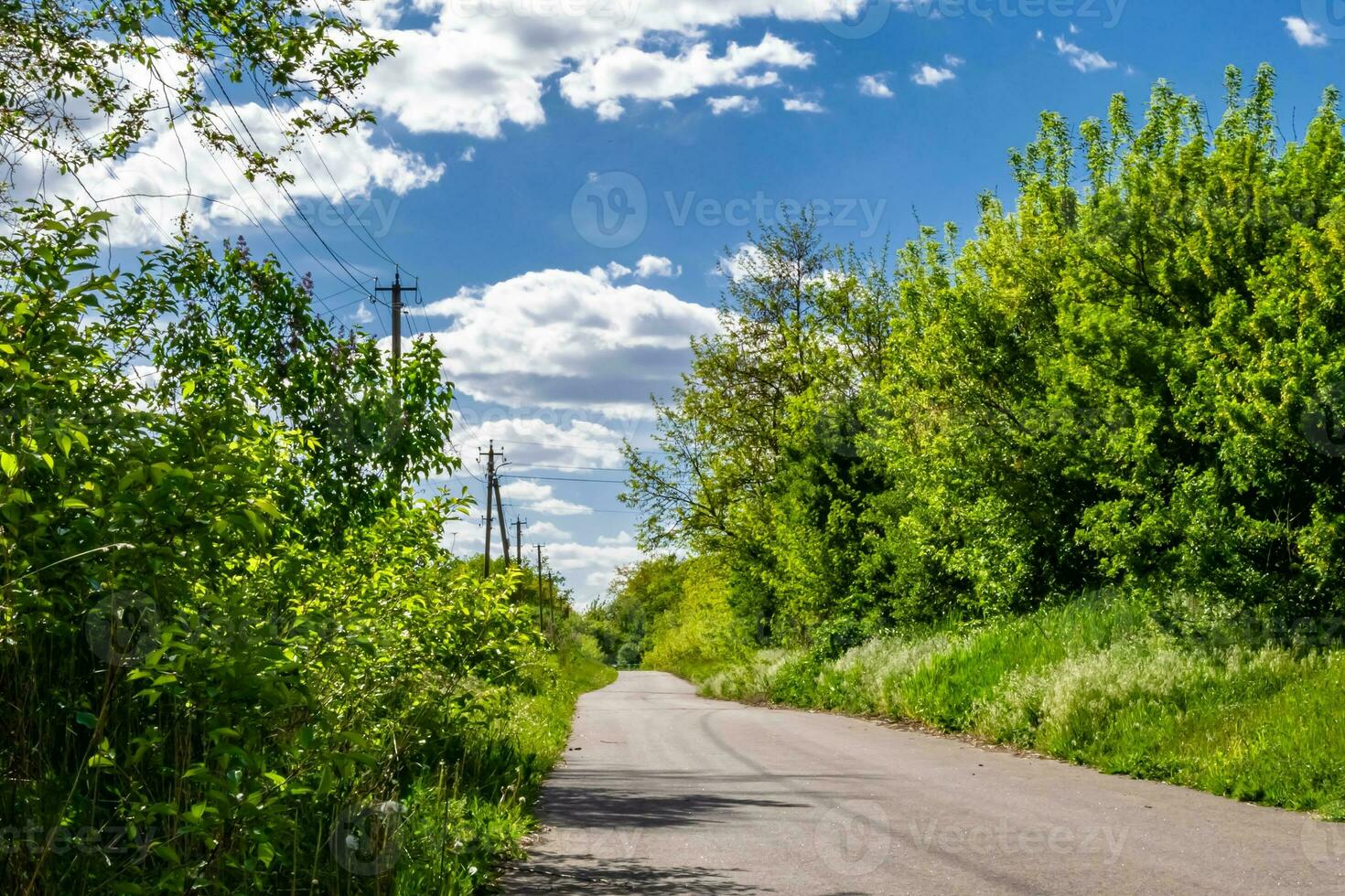 Beautiful empty asphalt road in countryside on colored background photo