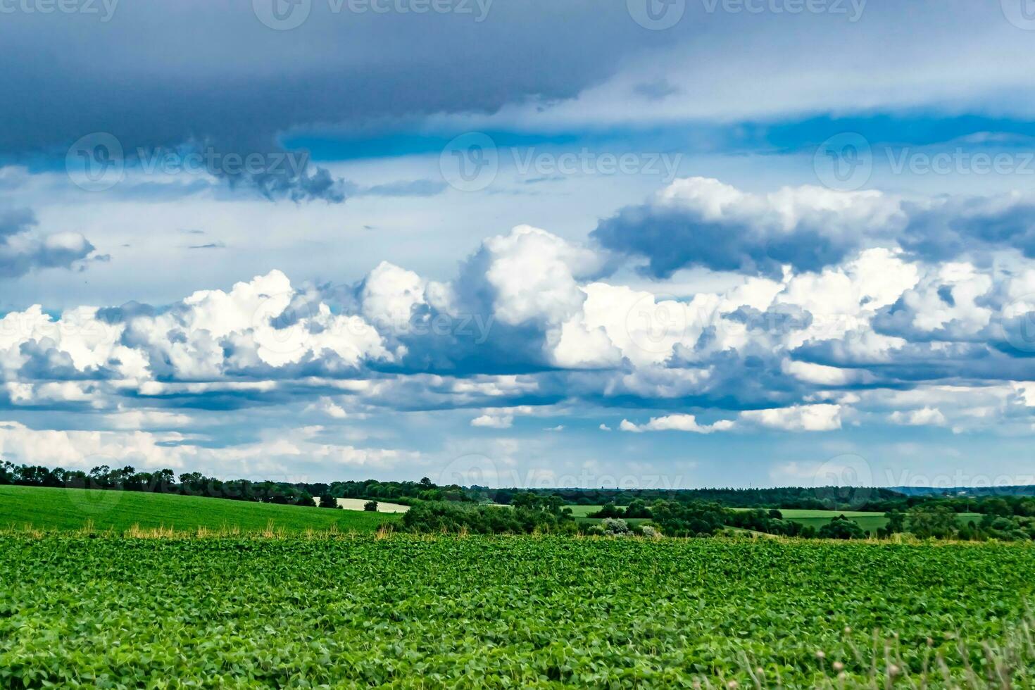 Beautiful horizon scenery in village meadow on color natural background photo