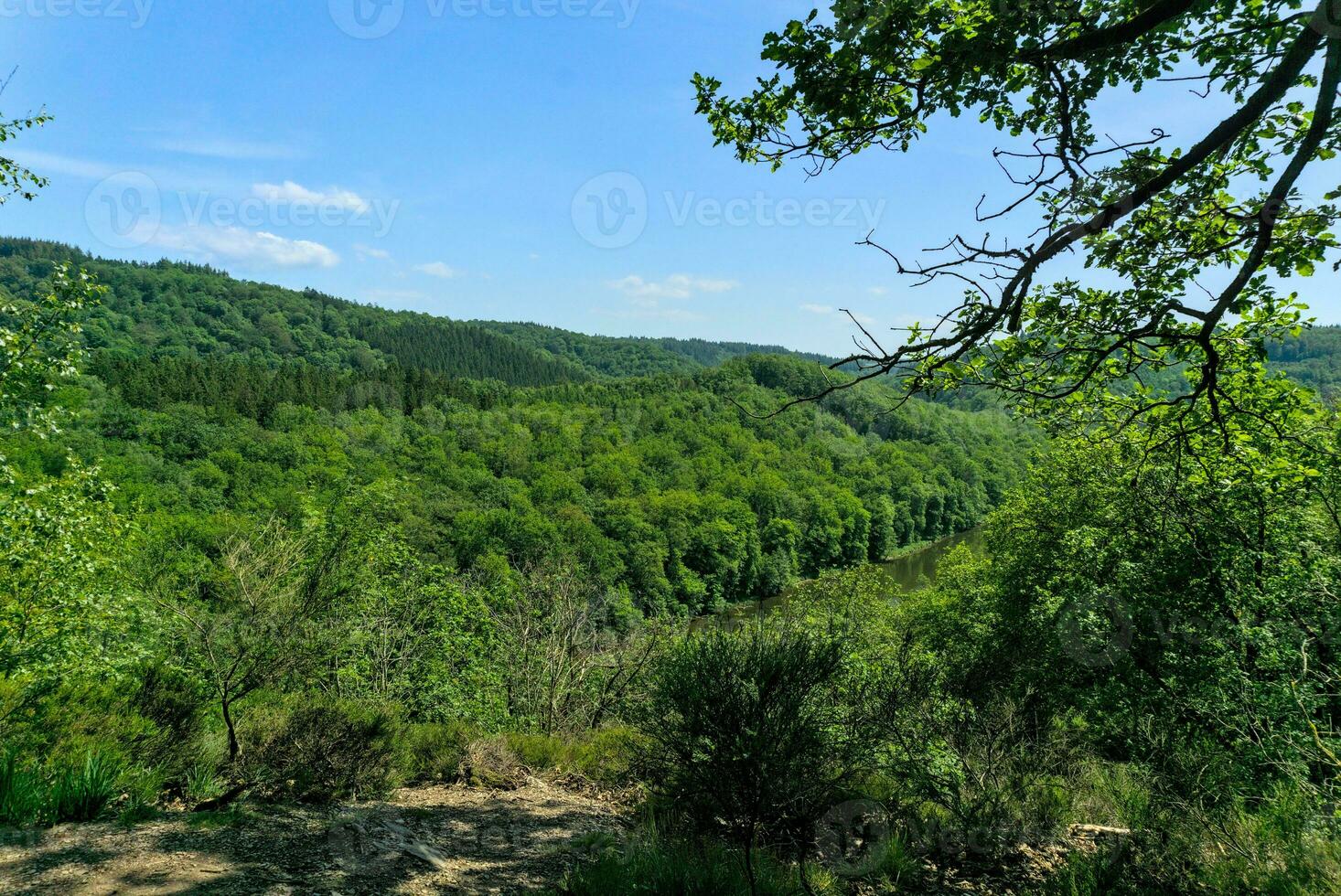 Viewpoint in the Belgian Ardennes on the hills and the Semois river photo
