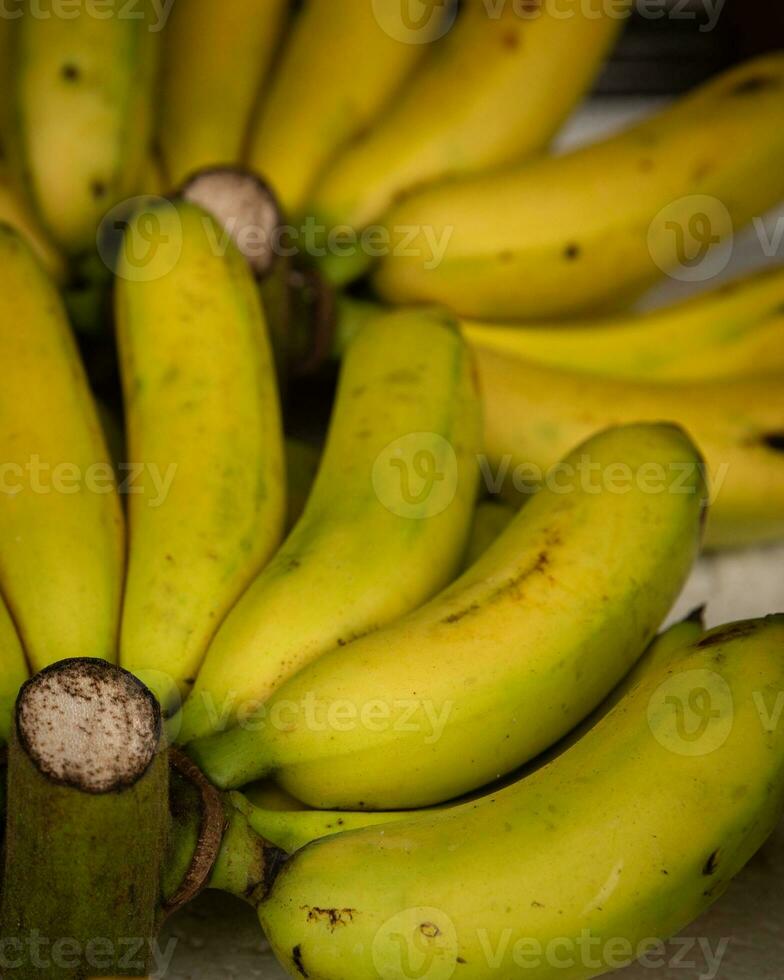 Mini Bananas in Vietnam photo