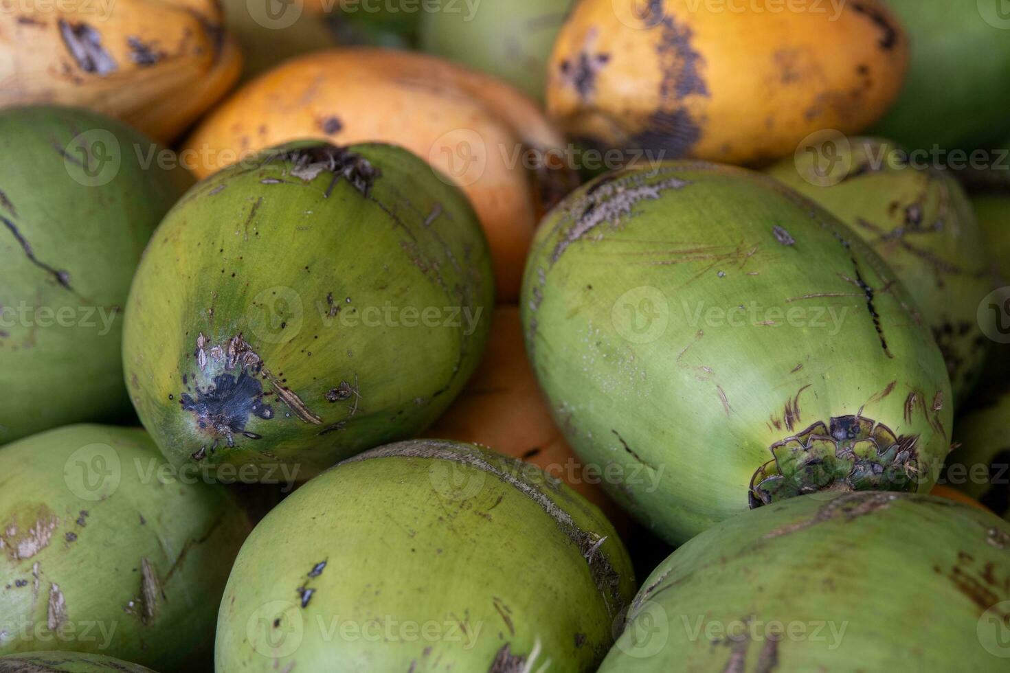 Batch of Coconuts photo