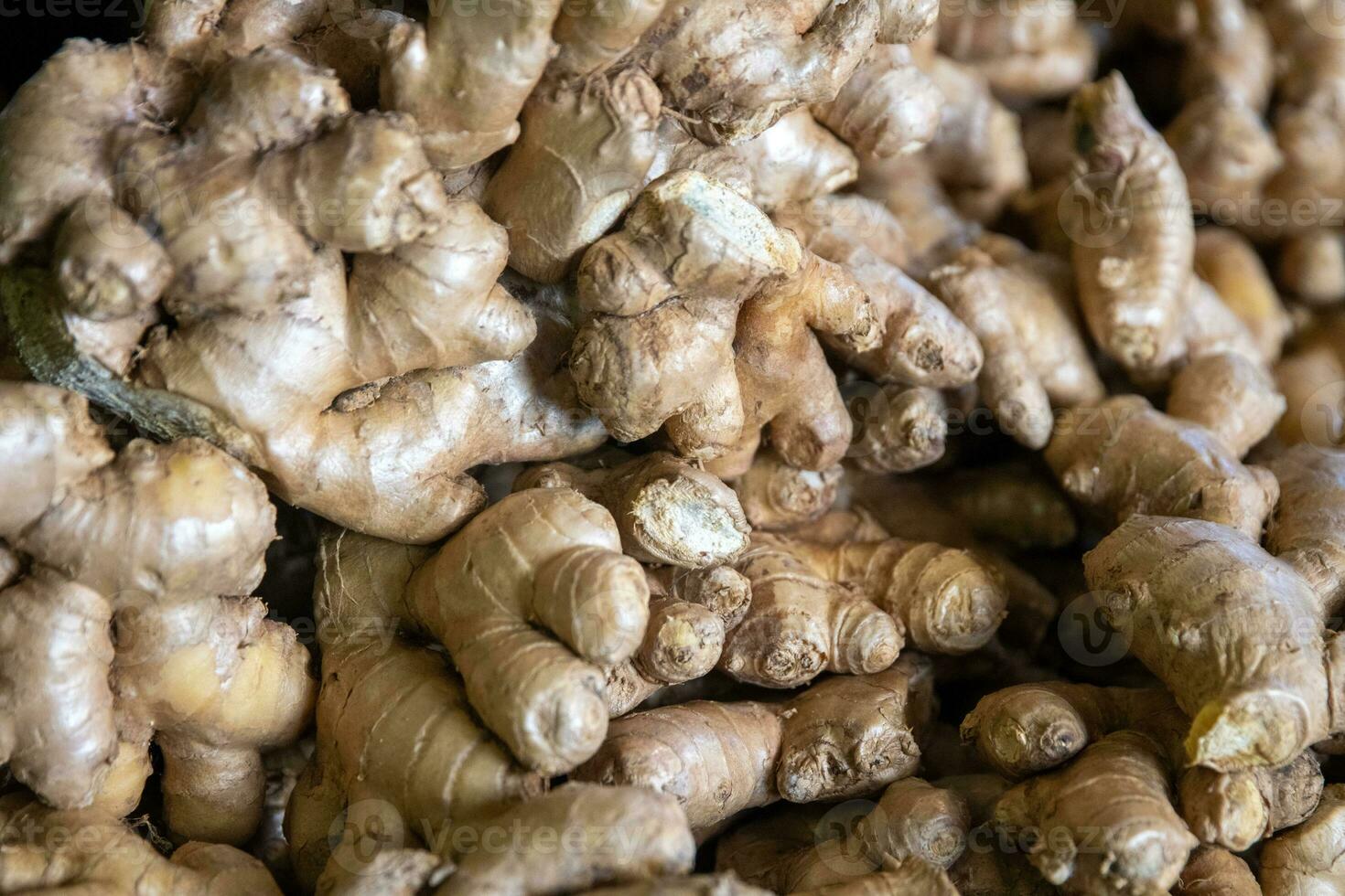 Bunch of Ginger Root photo