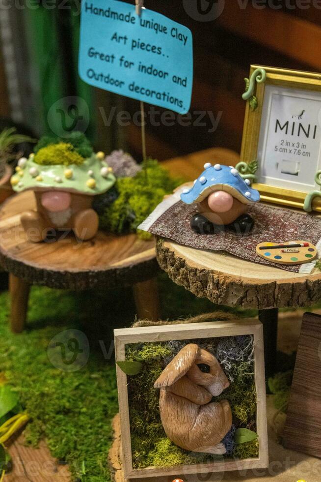 Succulent Home Set Up photo