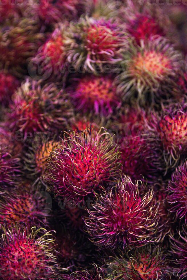 Group of Rambutan photo