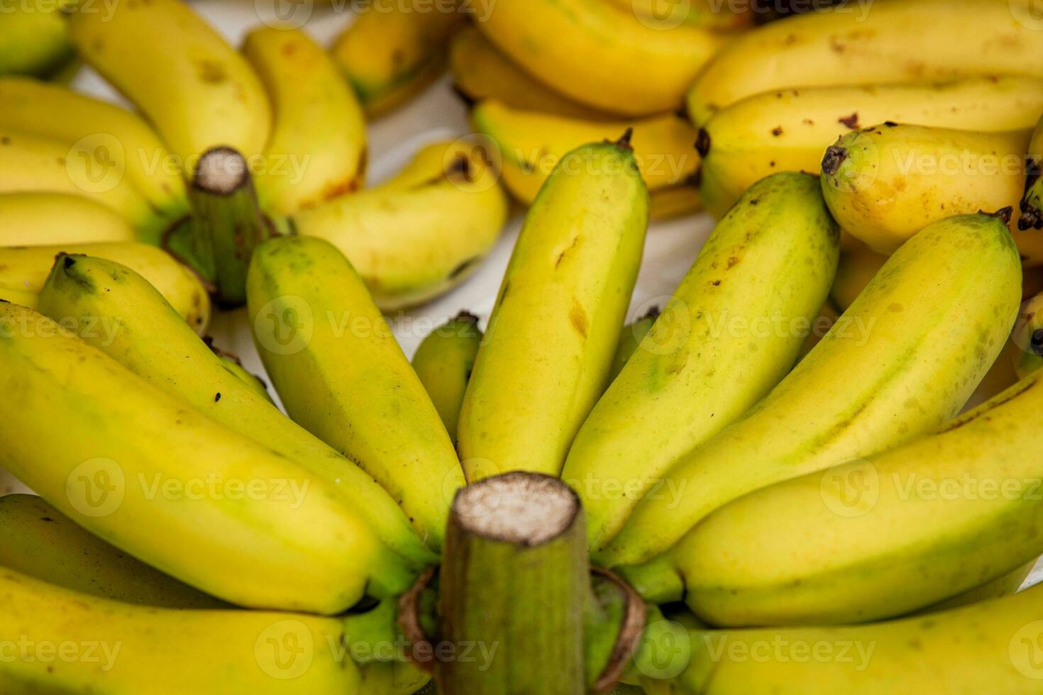Bunch of  Bananas photo