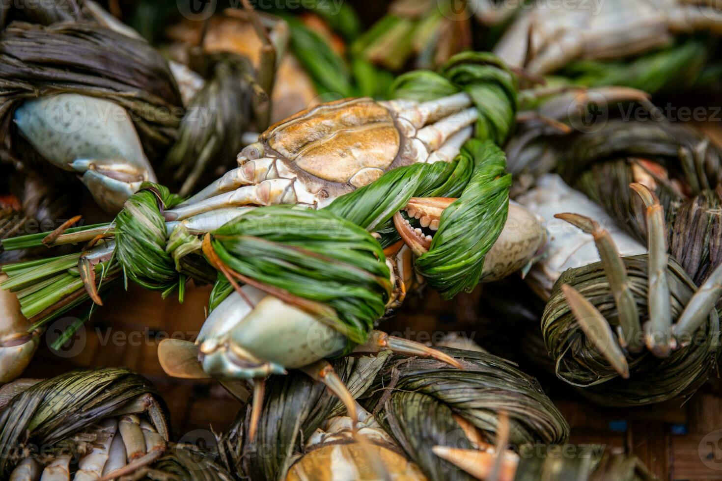 Bunch of live crabs photo