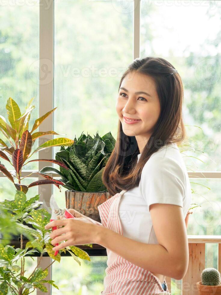 Portrait garden beautiful pretty young Asian girl woman wearing white blouse with long black hair and smile fresh with bright smile  look pot small tree leaf green plant in room shop Happy and relax photo