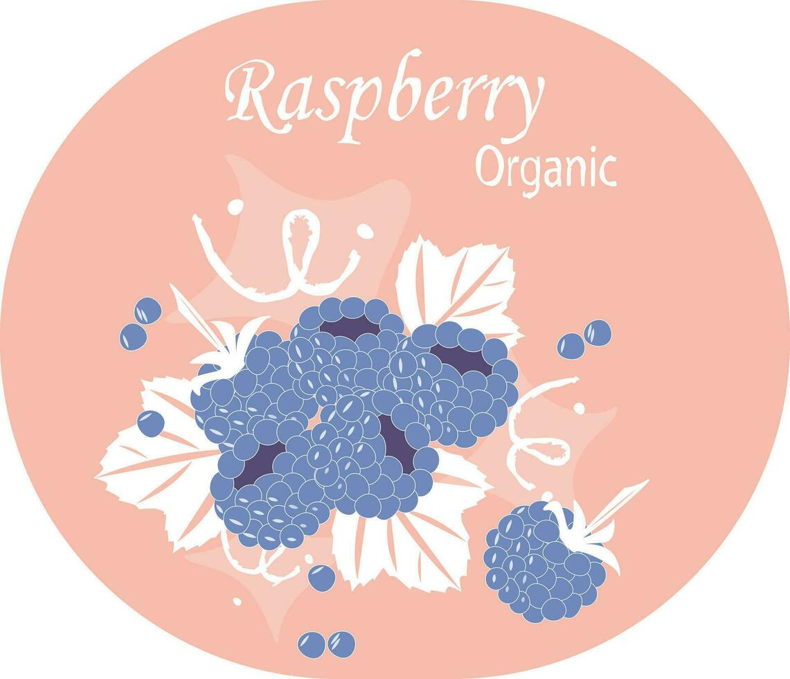 Summer picture blue berry raspberry on pink background Vector EPS10