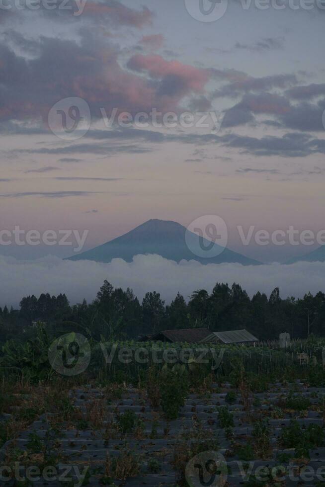 Nature of Indonesia photo
