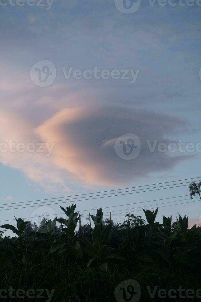 Nature of Indonesia photo