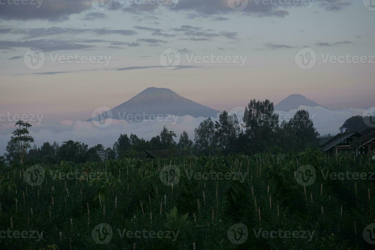 Nature of Indonesia photo