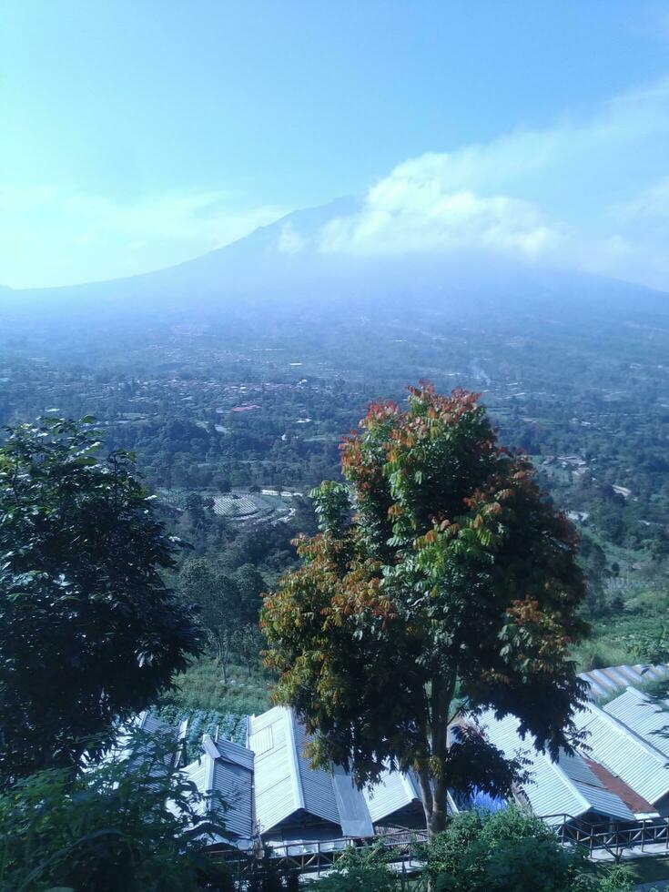 nature of indonesia photo