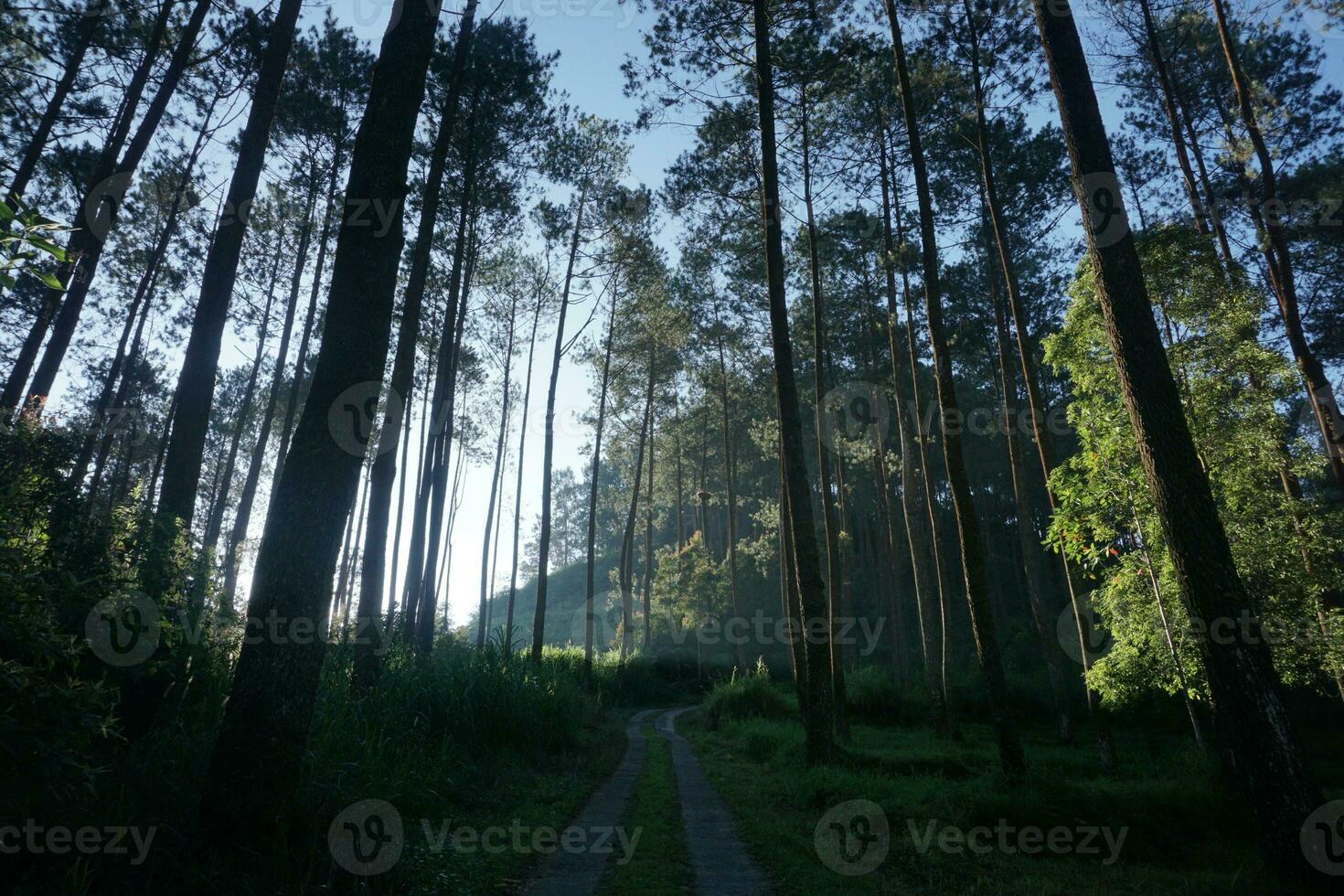 Indonesia great nature with wonderful culture photo