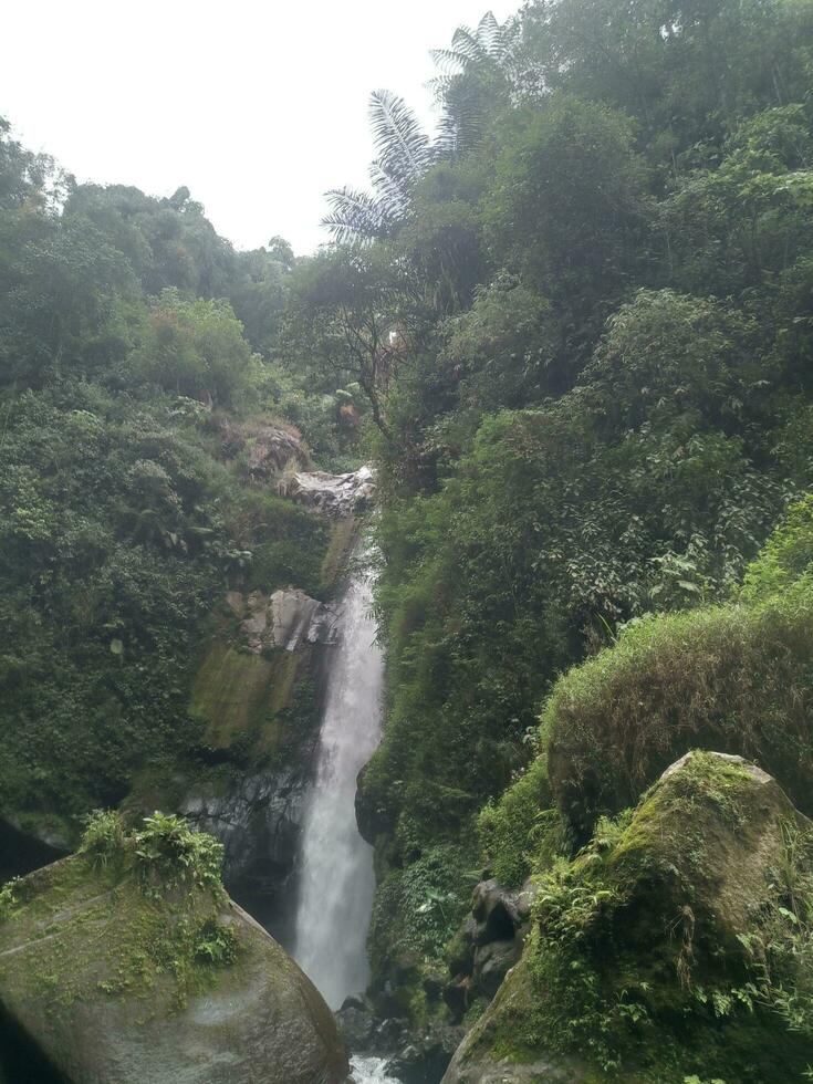 naturaleza de Indonesia foto