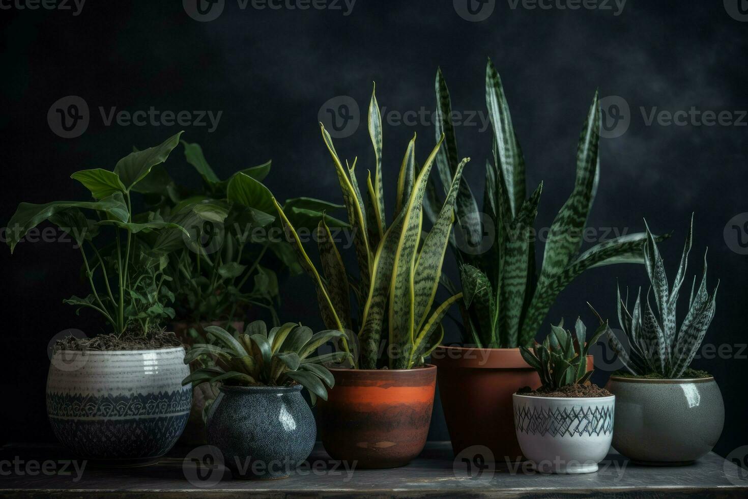 Houseplants ceramic pots hobby. Generate Ai photo