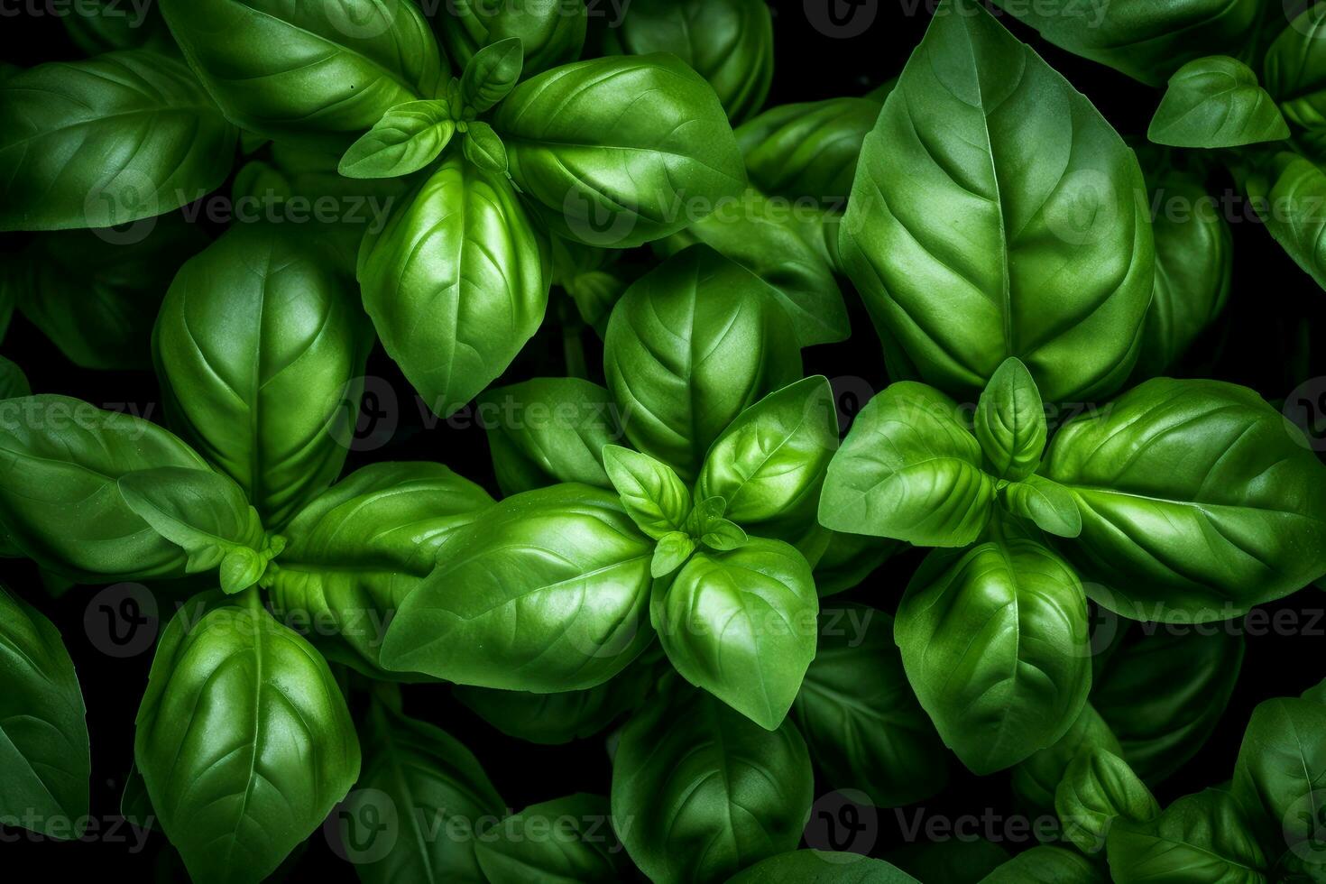 Basil leaves background. Generate Ai photo