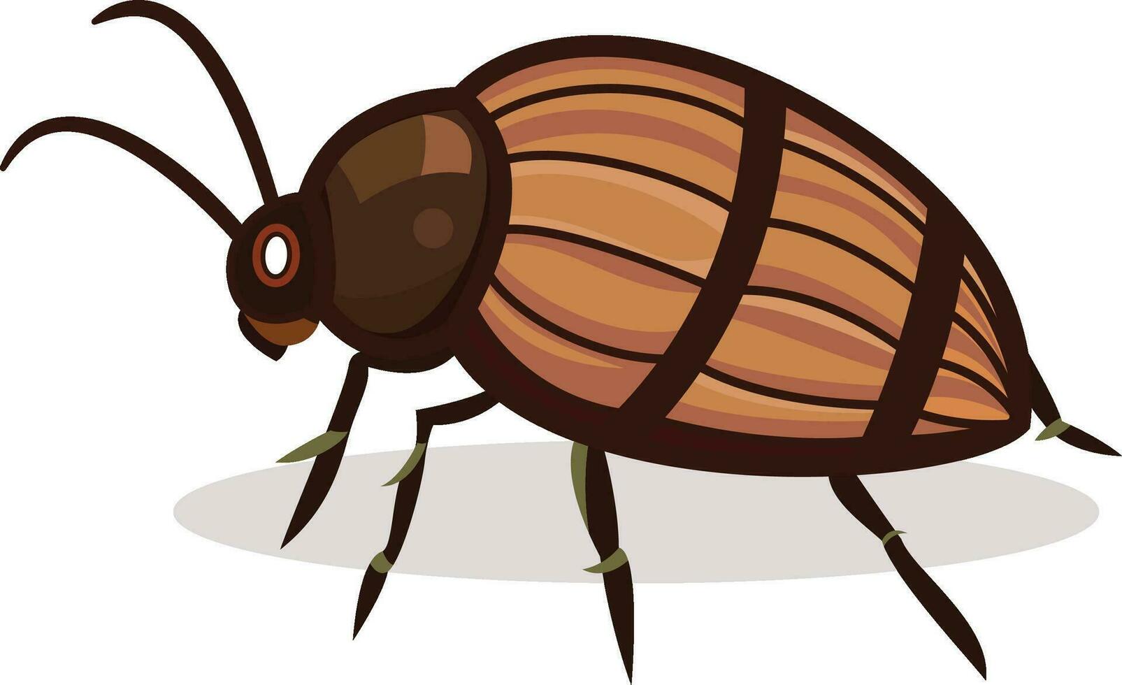 Bed bug vector illustration , genus Cimex insects vector image