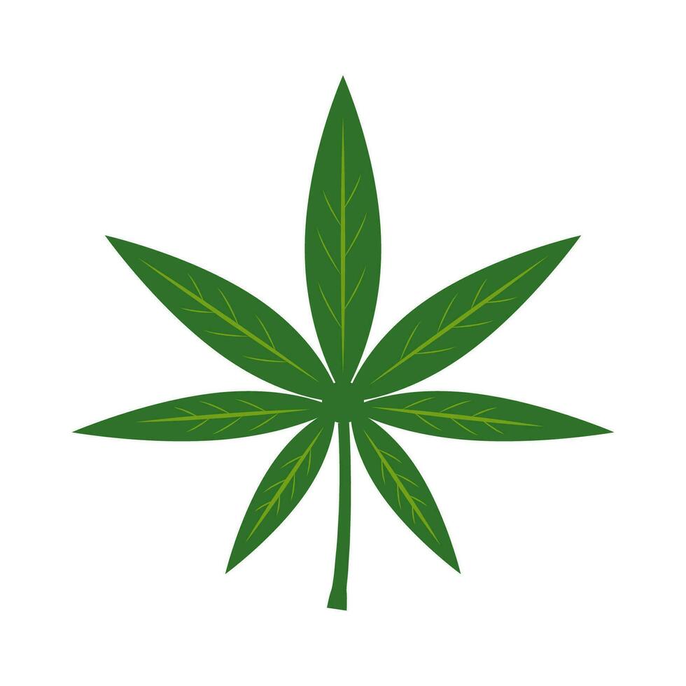 marijuana hoja icono vector diseño ilustración canabis símbolo