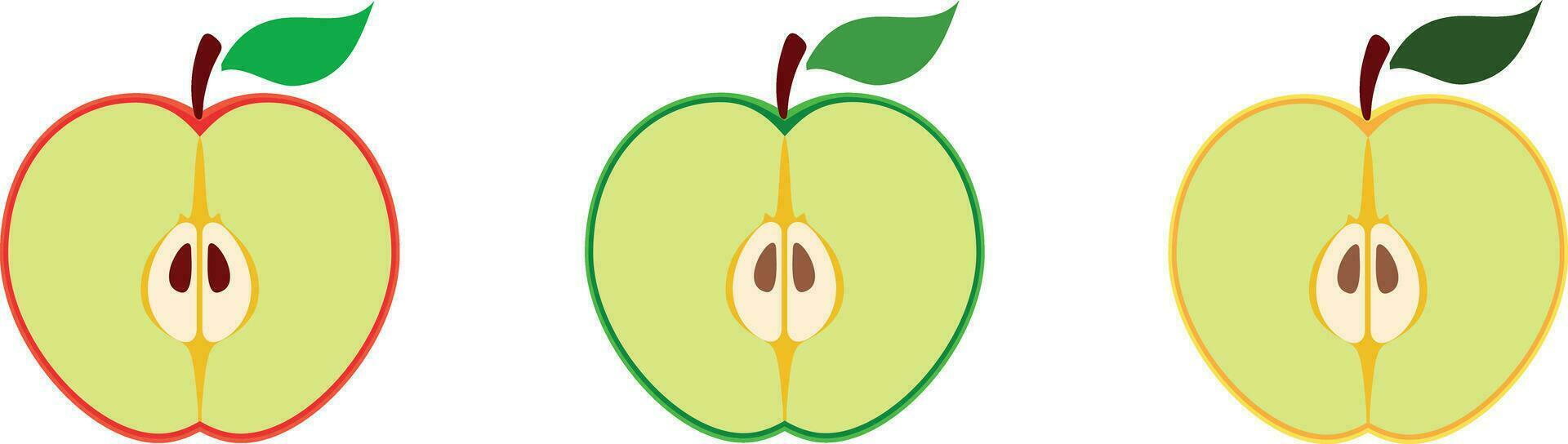 Apples. Set of red, green, bitten and half of fruit with leaf. Vector illustration. Isolated