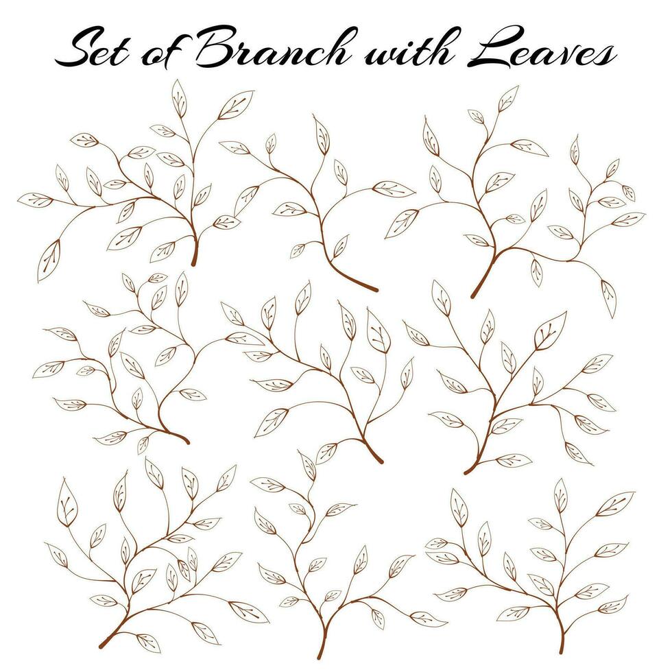 Set of silhouette branches with leaves. hand drawn of branch and leaf. Set of branches with leaves. hand drawn leaves. hand drawn leaf. vector