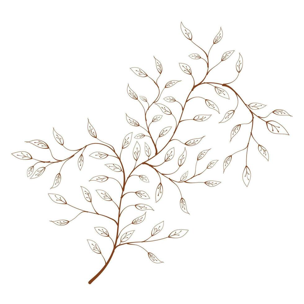 silhouette of a branch with leaves vector. hand drawn of branch and leaf vector. branch with leaves. decorative branch and leaf ornament. Botanical abstract line vector. vector