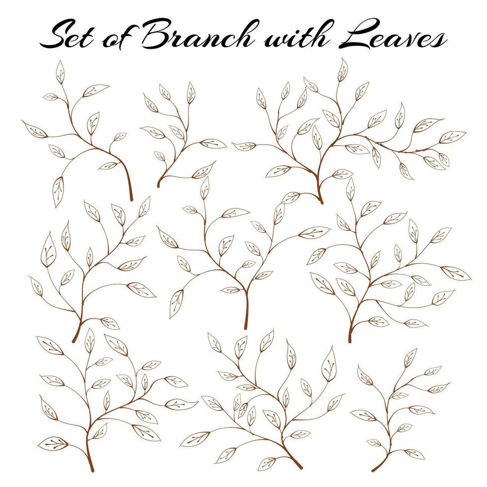 Set of silhouette branches with leaves. hand drawn of branch and leaf. Set of branches with leaves. hand drawn leaves. hand drawn leaf. vector