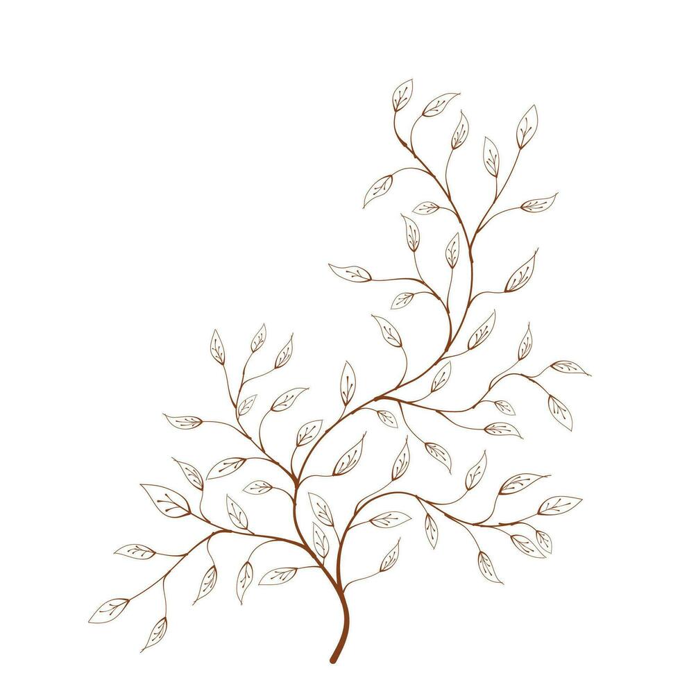silhouette of a branch with leaves vector. Botanical abstract line vector. hand drawn of branch and leaf vector. branch with leaves. decorative branch and leaf ornament. vector