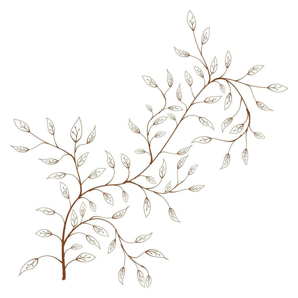 silhouette of a branch with leaves vector. hand drawn of branch and leaf vector. branch with leaves. decorative branch and leaf ornament. Botanical abstract line vector. vector