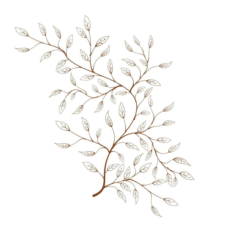 hand drawn of branch and leaf vector. branch with leaves. decorative branch and leaf ornament. Botanical abstract line vector. silhouette of a branch with leaves vector. vector