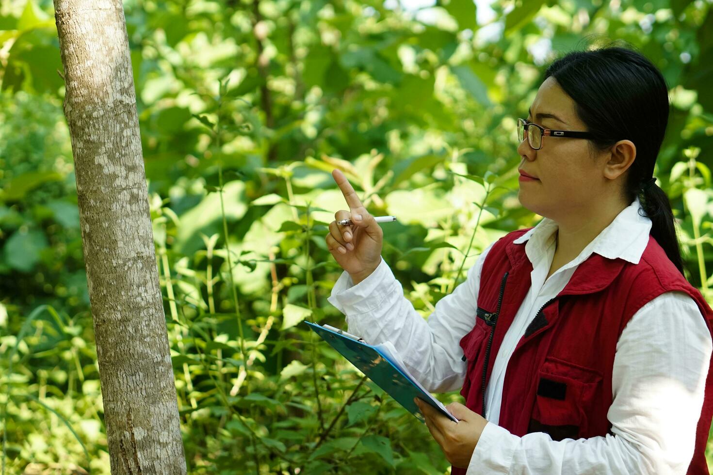 Asian woman botanist is at forest, hold paper notepad to survey botancal plants in forest. Concept, field research outdoor. Nature surveying. Ecology and environment conservation. photo