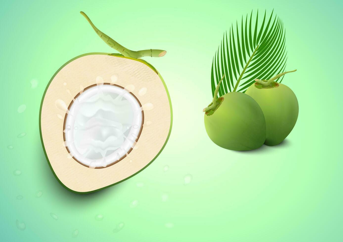 Coco agua beber, verde Coco aislado en verde antecedentes vector. vector