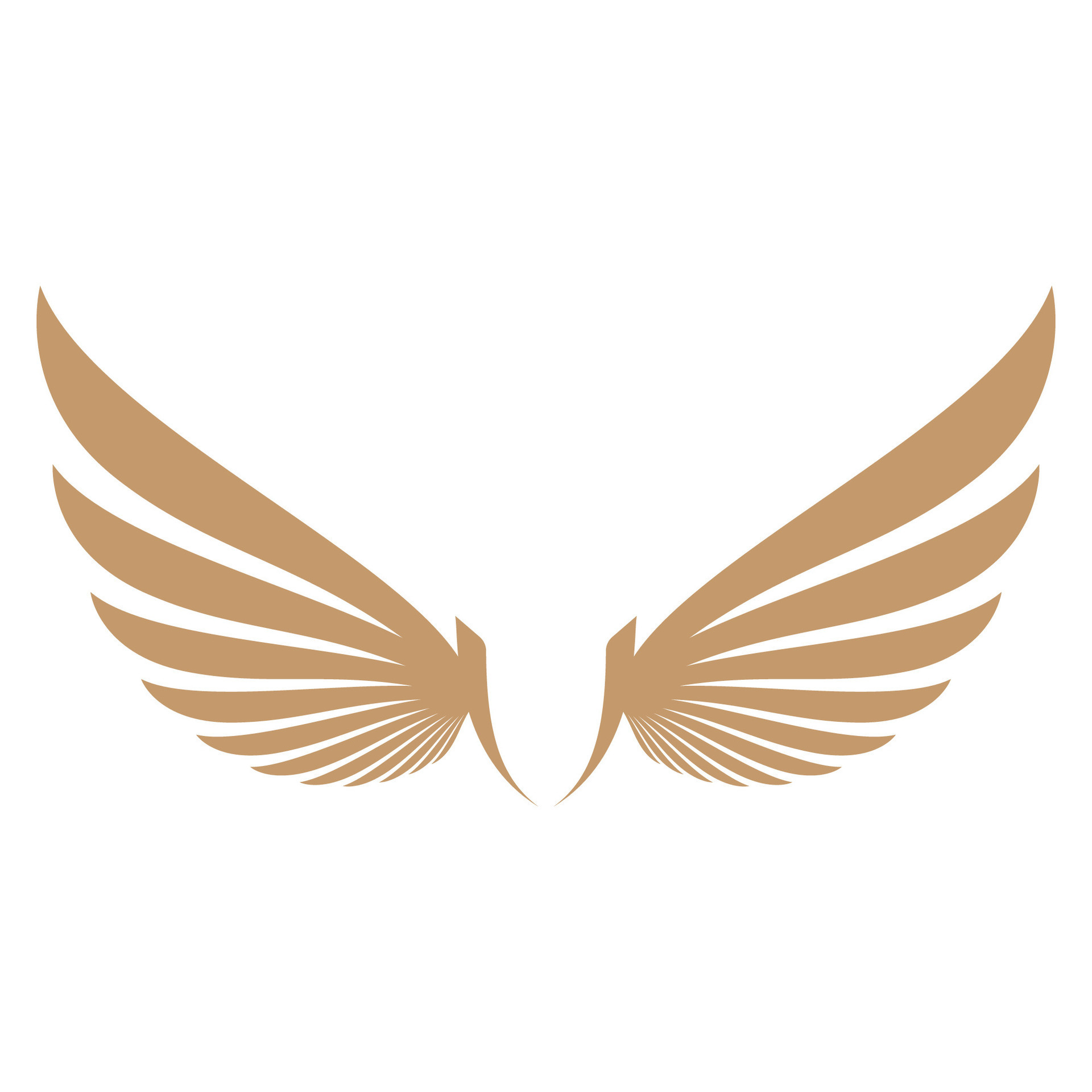 Flying wings logo illustration. 26385451 Vector Art at Vecteezy