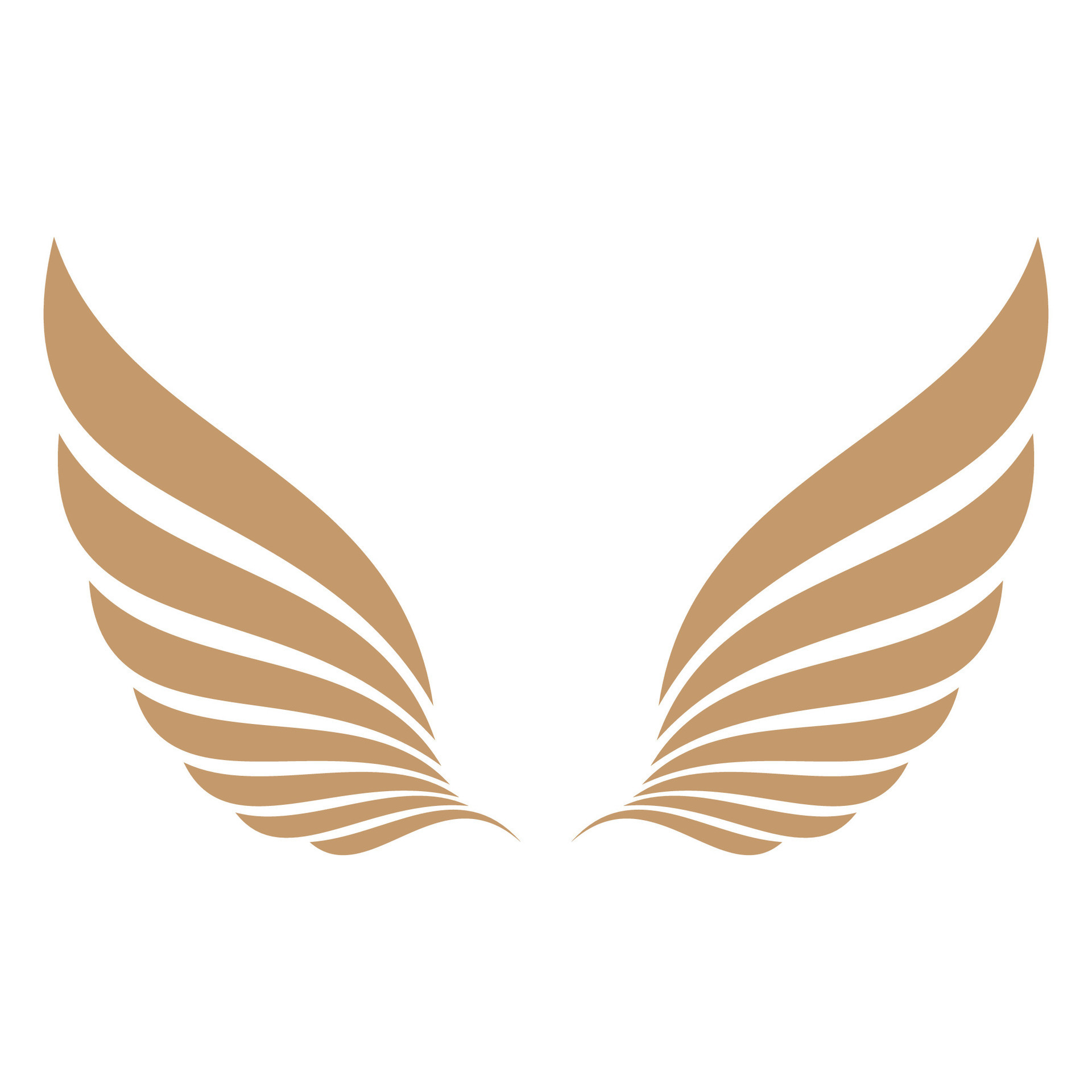 Flying wings logo illustration. 26385462 Vector Art at Vecteezy