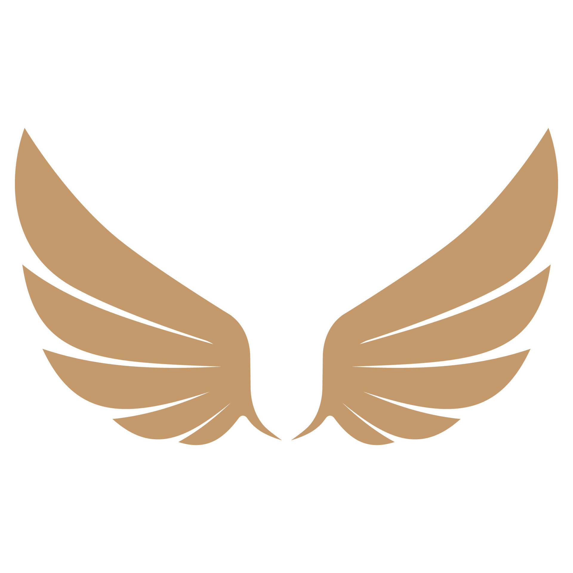 Flying wings logo illustration. 26385465 Vector Art at Vecteezy